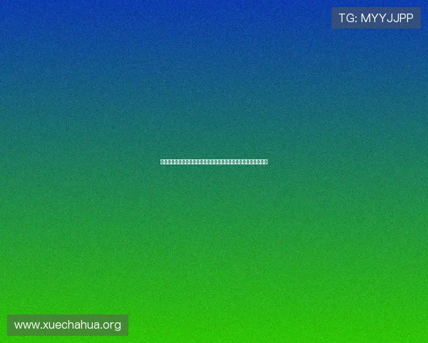 澳门财神网站：世界杯赛场上的明星球员盘点与他们的精彩表现回顾